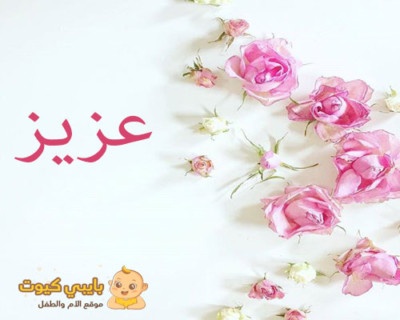 معنى اسم عبد العزيز دلالات اسم عبدالعزيز عزه و ثقه