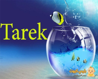 معنى اسم طارق في القرآن الكريم مميزات و عيوب حامل شخصية طارق و أبرز مشاهيره